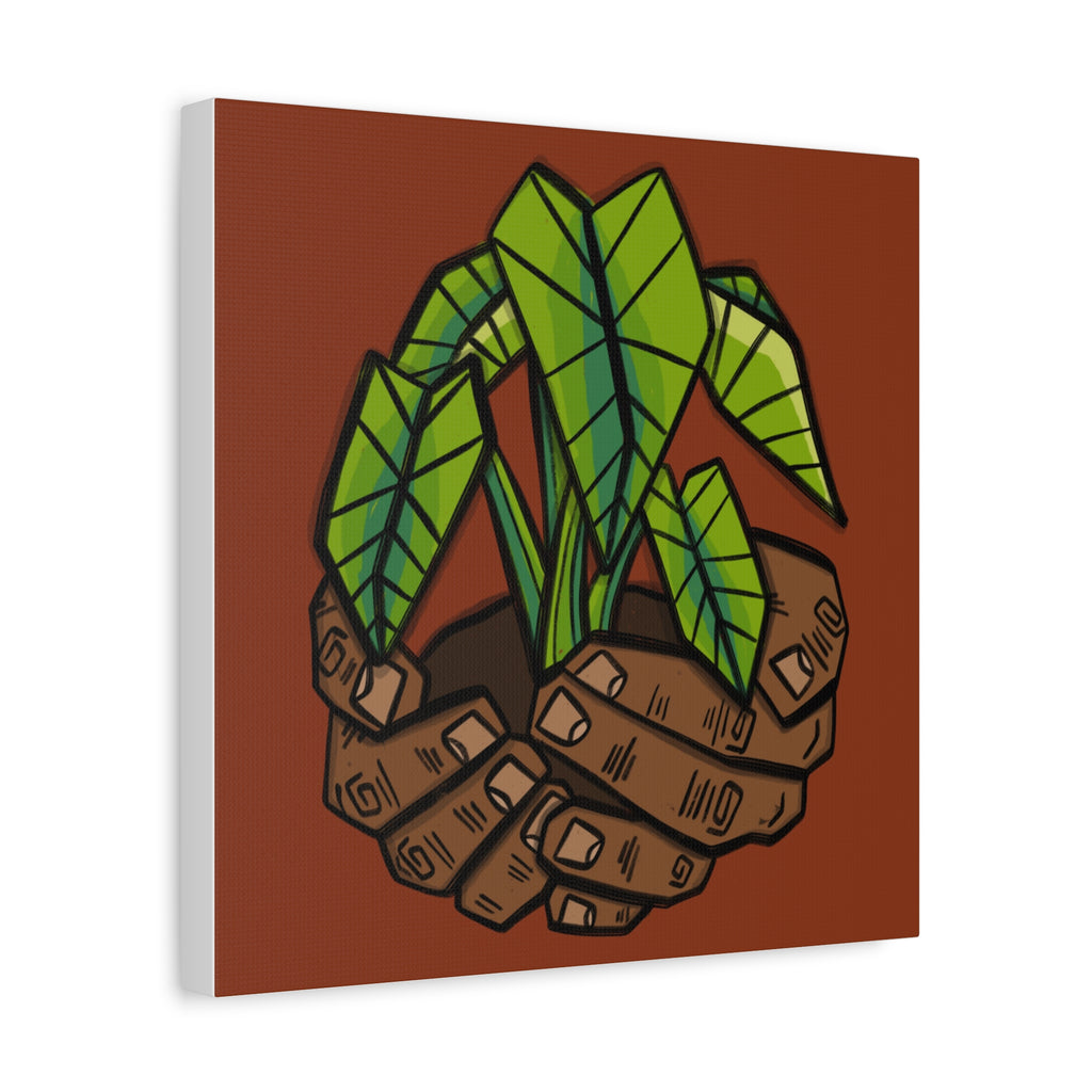 Growing Kalo Canvas