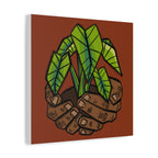 Growing Kalo Canvas