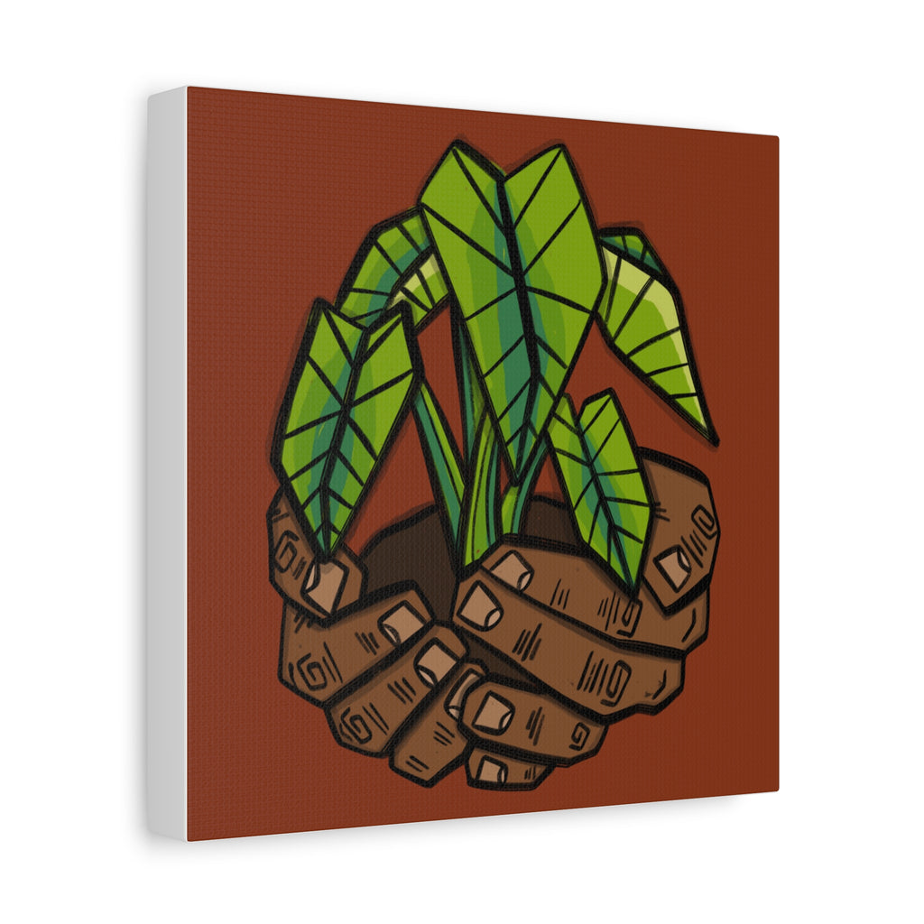 Growing Kalo Canvas