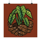 Growing Kalo Poster