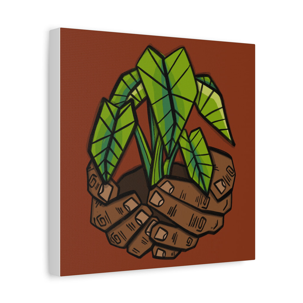 Growing Kalo Canvas