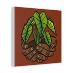 Growing Kalo Canvas