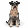 Manu Brown Tribal Paw Print Bandana Collar — Adjustable Dog & Cat Neck