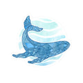 Tafola (Whale) Sticker