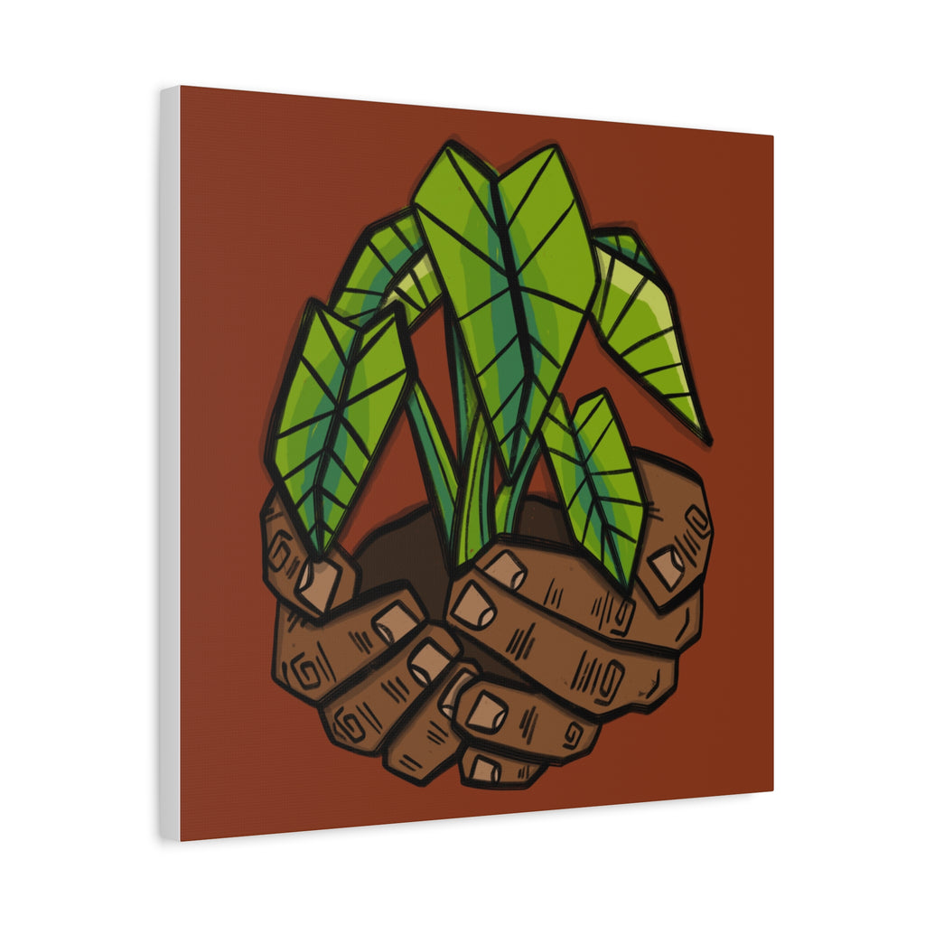 Growing Kalo Canvas