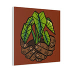Growing Kalo Canvas